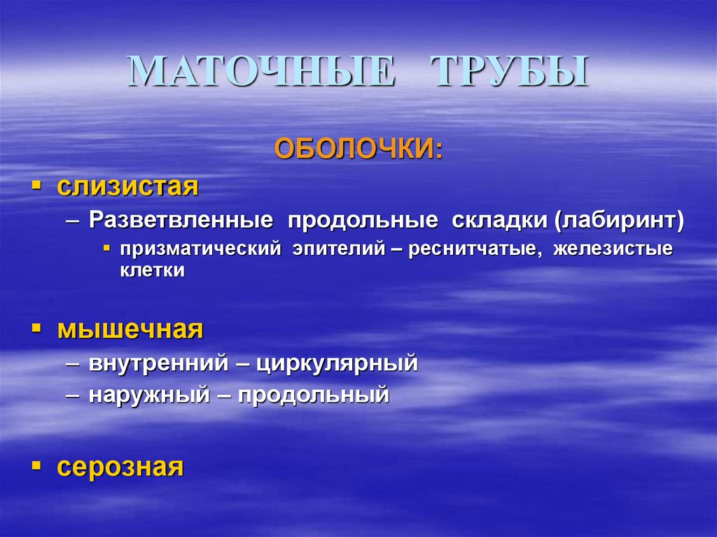 Лекция по теме Гистология: женская половая система 