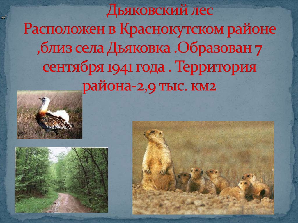 Дьяковский лес Расположен в Краснокутском районе ,близ села Дьяковка .Образован 7 сентября 1941 года . Территория района-2,9 тыс. км2