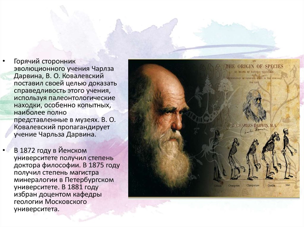 Сторонник. Ковалевский сторонник Дарвина. Создатель эволюционного учения. Сторонники эволюционизма. Сторонники эволюционного учения.