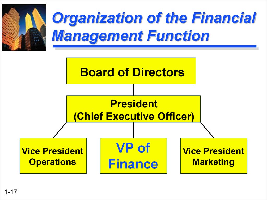 Organization of the Financial Management Function