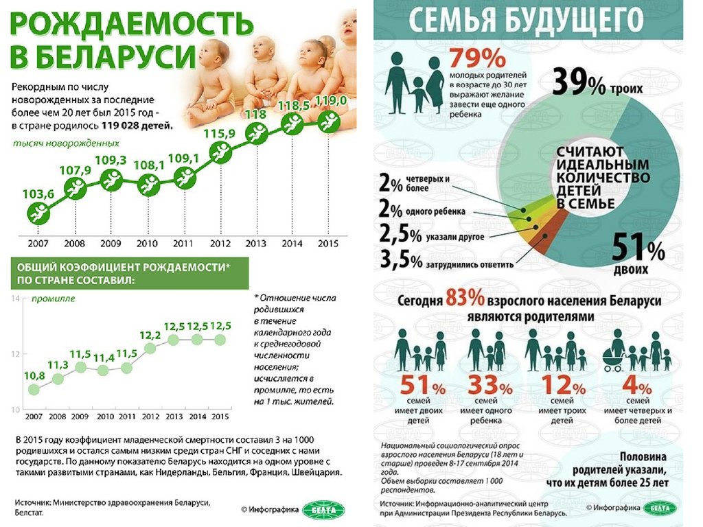 Численность населения белоруссии в 2024 году