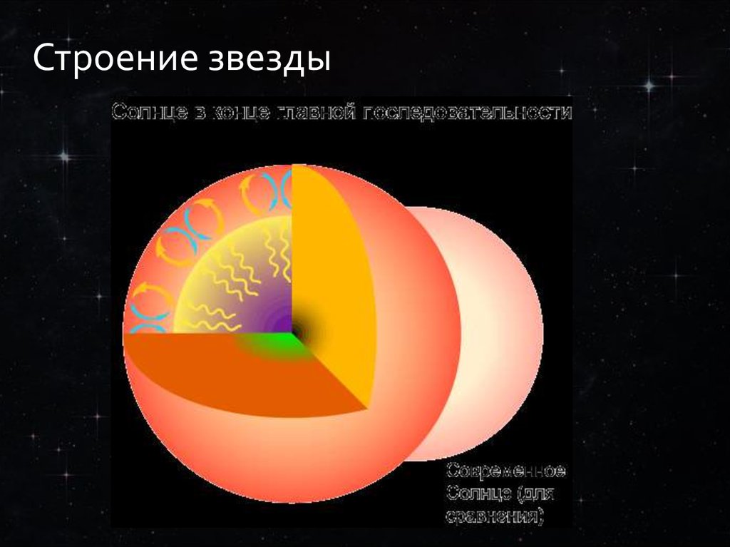 Внутреннее строение солнца и звезд главной последовательности презентация