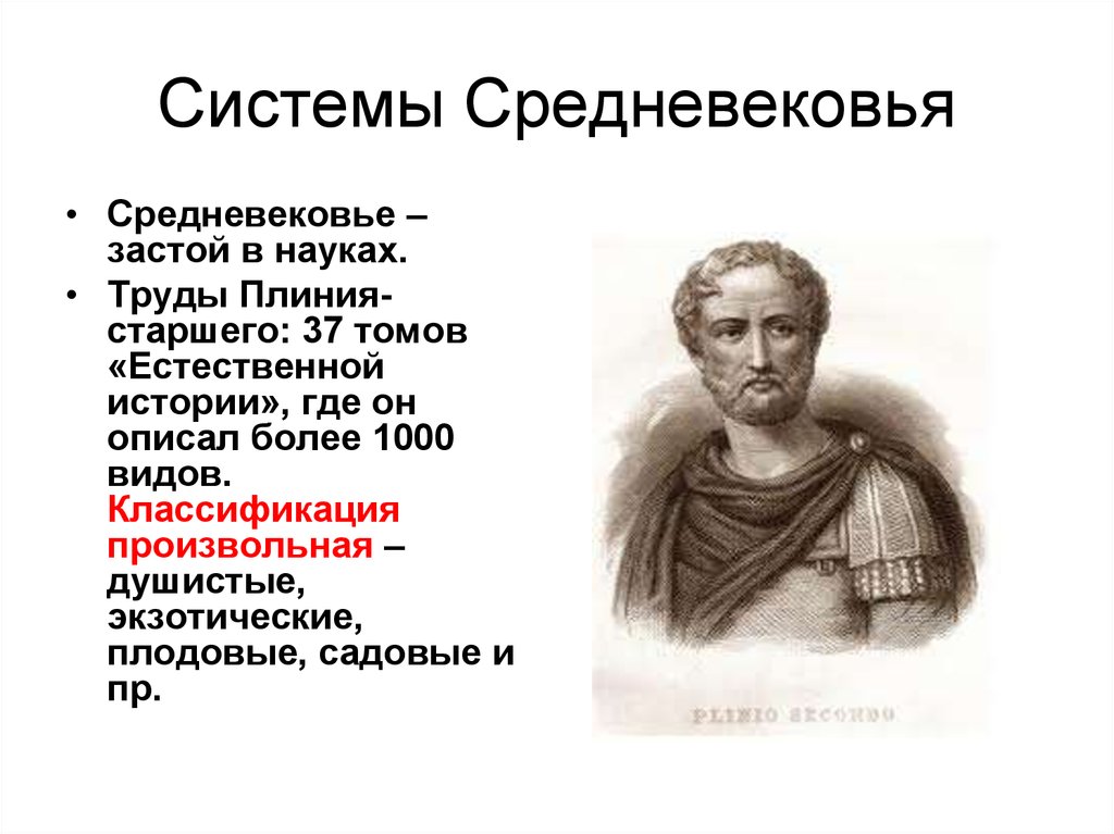 Труд естественная история. Плиний старший естественная история ботаника. Плиний старший труды. Плиний естественная история. Классификация Плиния.