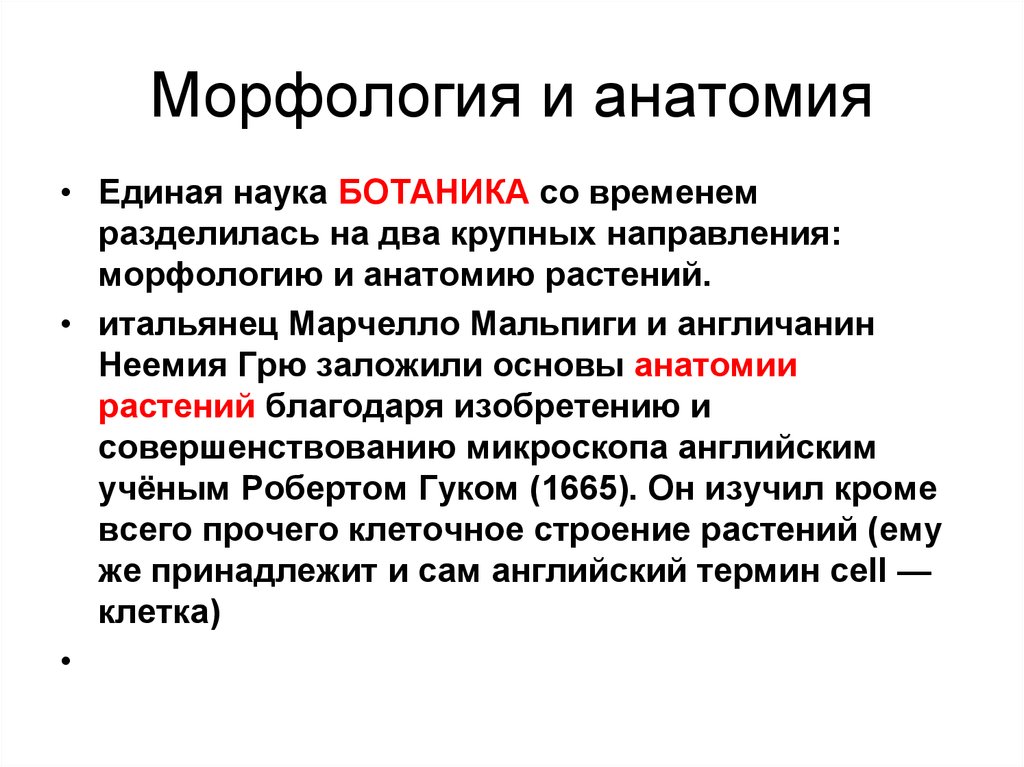 Специалист изучающий морфологию анатомию географическое распространение водорослей