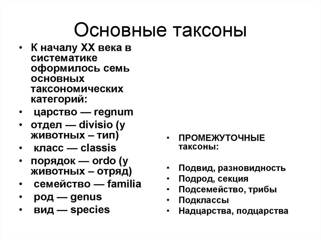 Основные таксономические группы. Систематика. Основные таксономические категории.. Основные таксономические единицы. Систематика таксонов. Систематика таксонов животных.