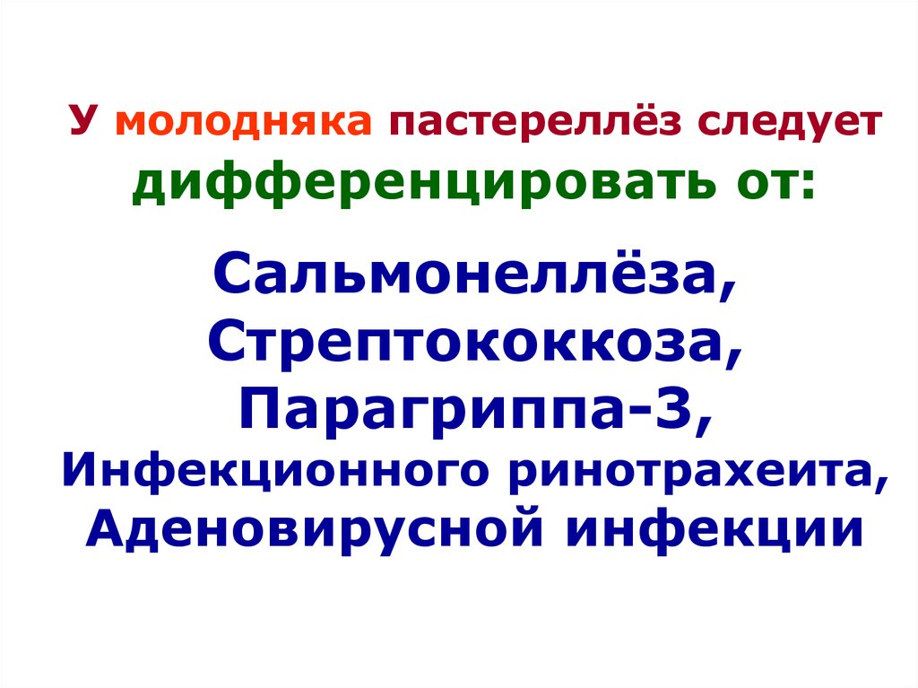 Сальмонеллез пастереллез. Пастереллез животных презентация. Нозологические формы стрептококкоза. Заражение пастереллезом.