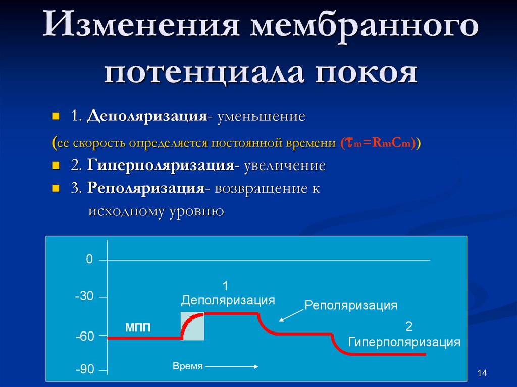 Графическое изображение потенциала покоя