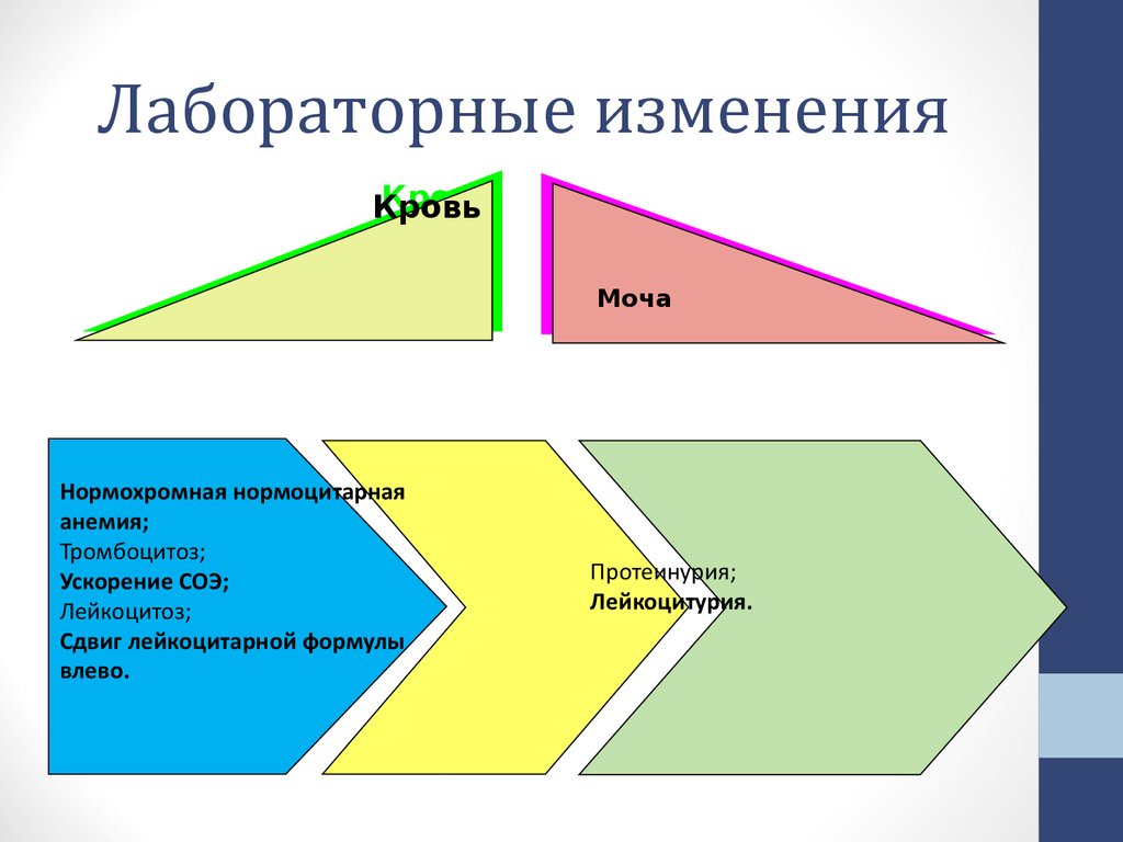 Лабораторные изменения