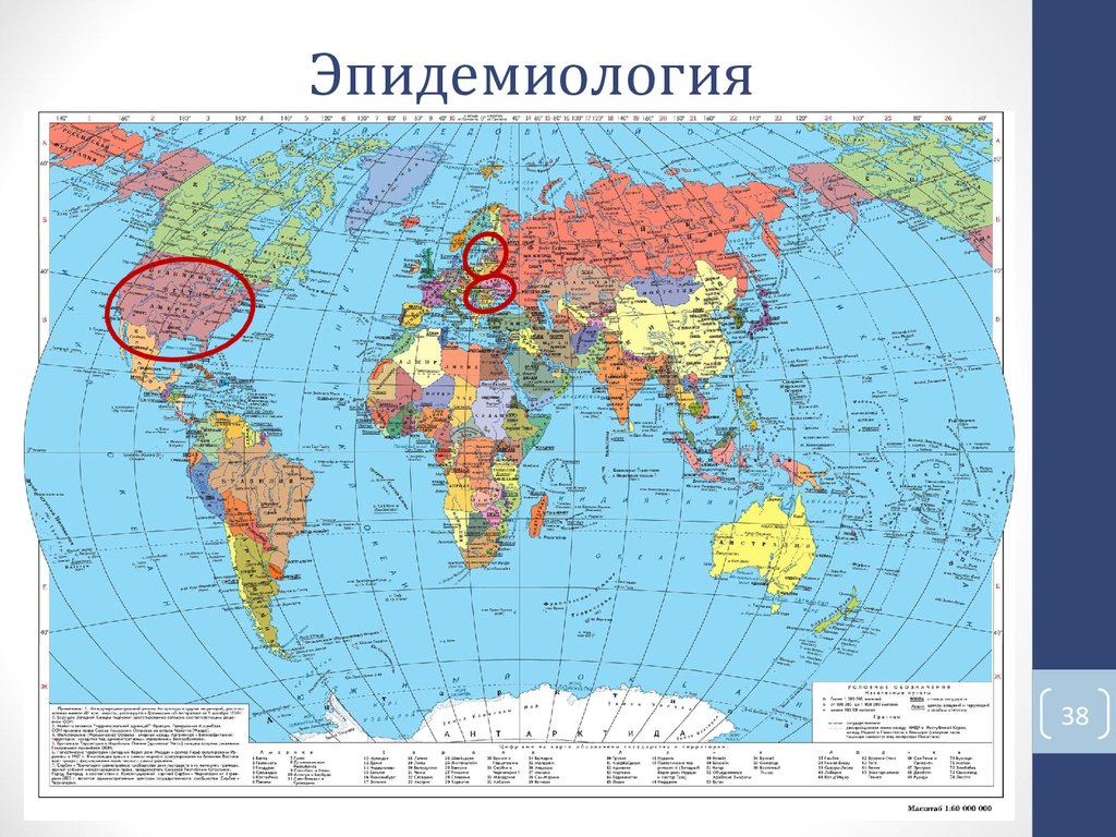 Эпидемиология