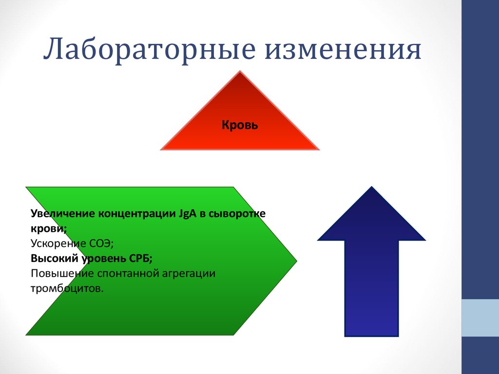 Лабораторные изменения