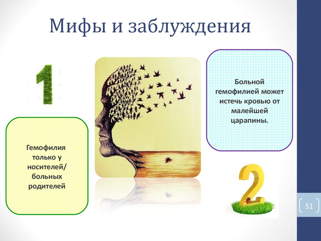 Мифы и заблуждения