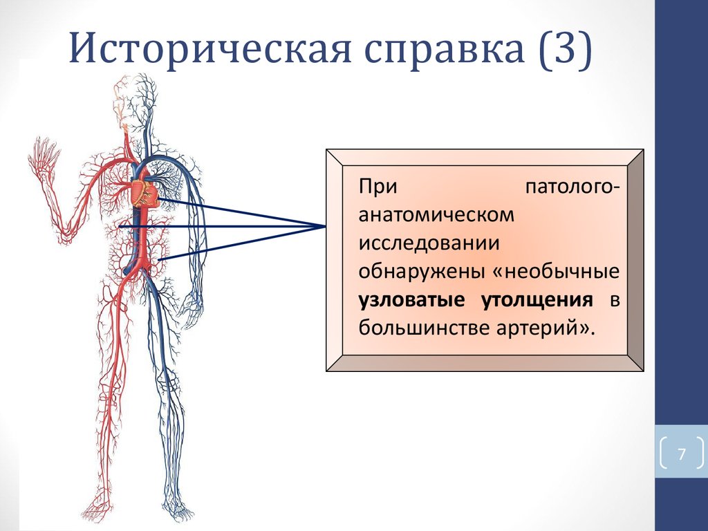 Историческая справка (3)