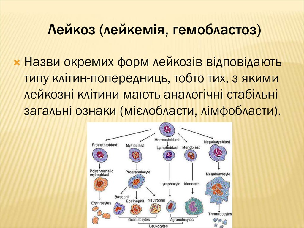 Вирус лейкемии. Гемобластоз и лейкоз. Лейкемия и лейкоз одно и тоже. Лейкозы и гемобластозы одно и тоже.