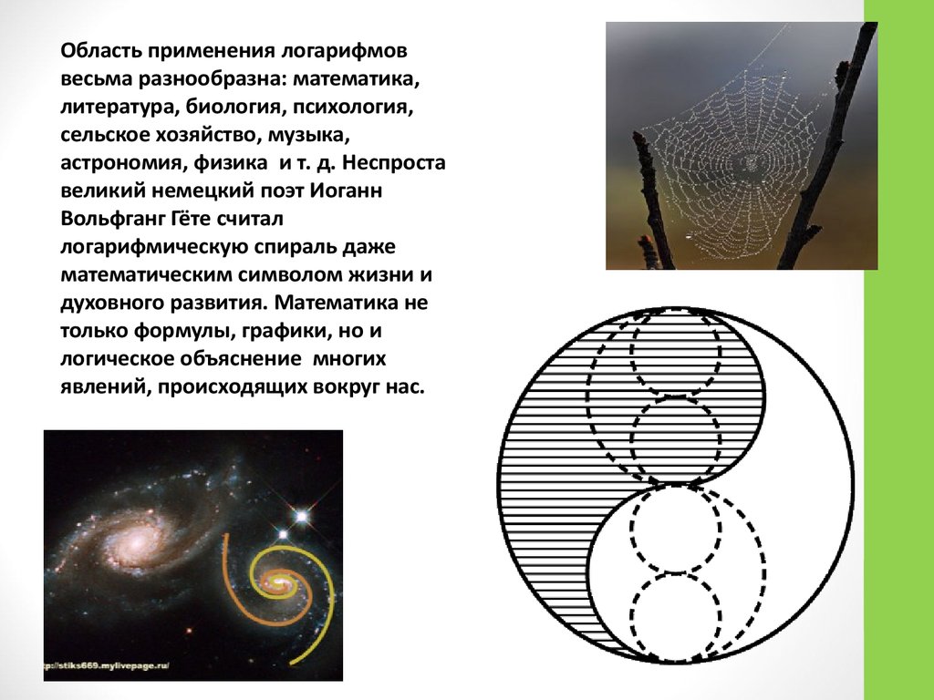 Логарифмы в науке. Логарифмы в астрономии. Логарифмы в природе. Логарифмы в сельском хозяйстве. Логарифмы и звезды.