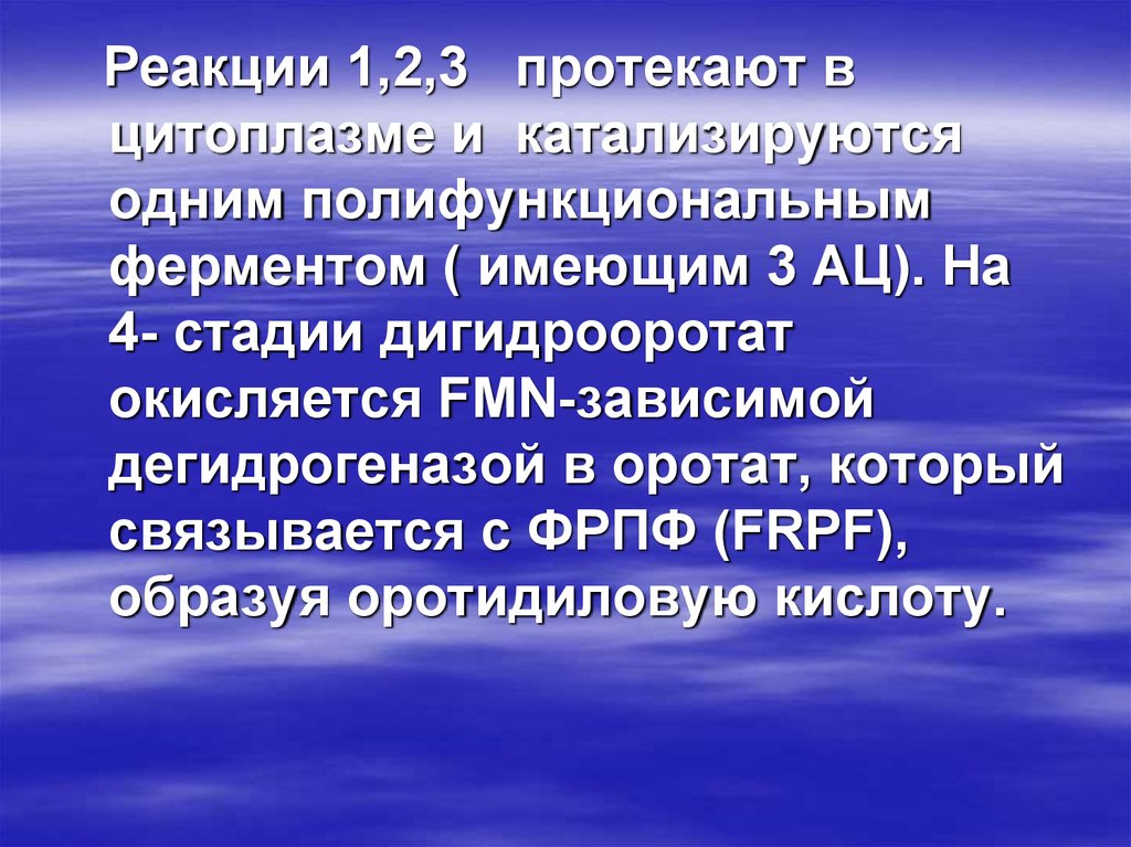 Протекала 3. Полифункциональные ферменты.