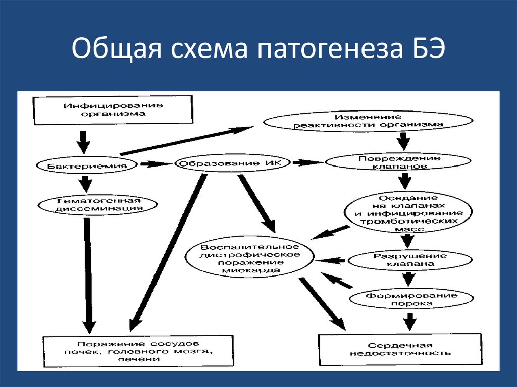 Патогенез псевдотуберкулеза схема