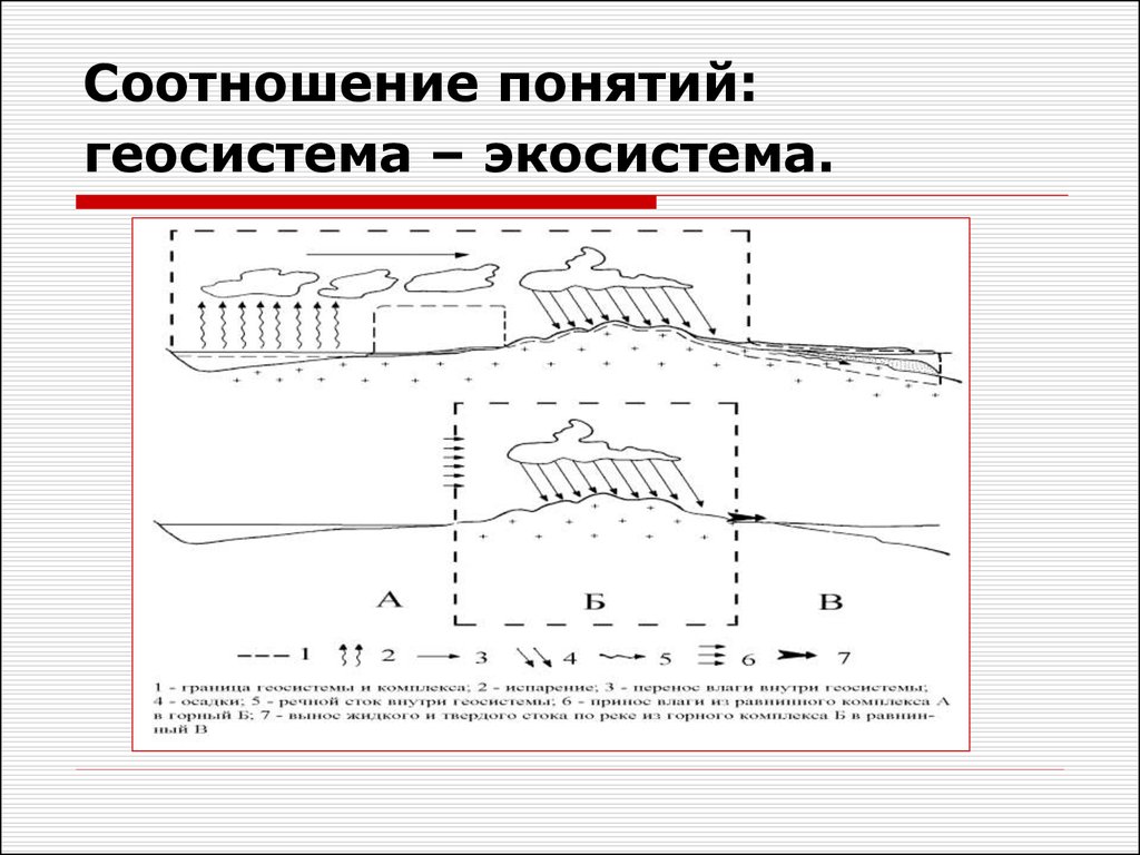 Геосистема. Соотношение понятий Геосистема и экосистема. Схема геосистемы. Понятие геосистемы. Геосистемы и экосистемы.