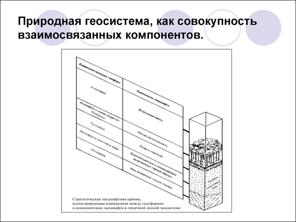 Геосистема. Природная Геосистема. «Природная Геосистема», «природно-антропогенная Геосистема».. Геосистемная концепция. Геосистемная концепция в ландшафтоведении.