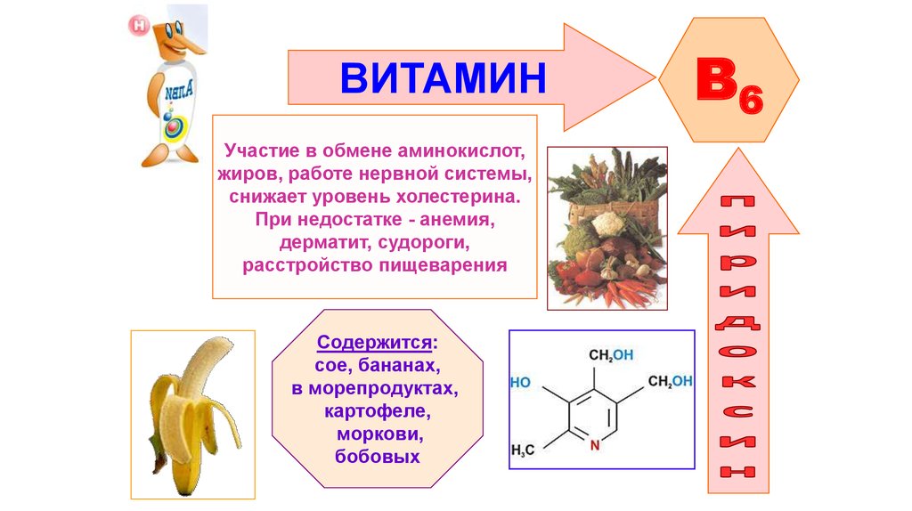 Роль витаминов в обмене аминокислот. Обмен аминокислот витамин. Витамины участвующие в обмене аминокислот. Витамины участвующие в обмене аминокислот биохимия.