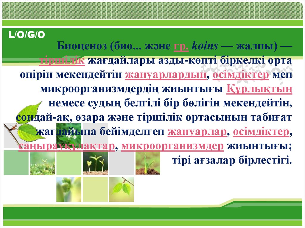 Биоценоз это ответ. Биоценоз дегеніміз не. Биоценоз презентация. Биоценоз это в биологии кратко. Биогеоценоз деген не.