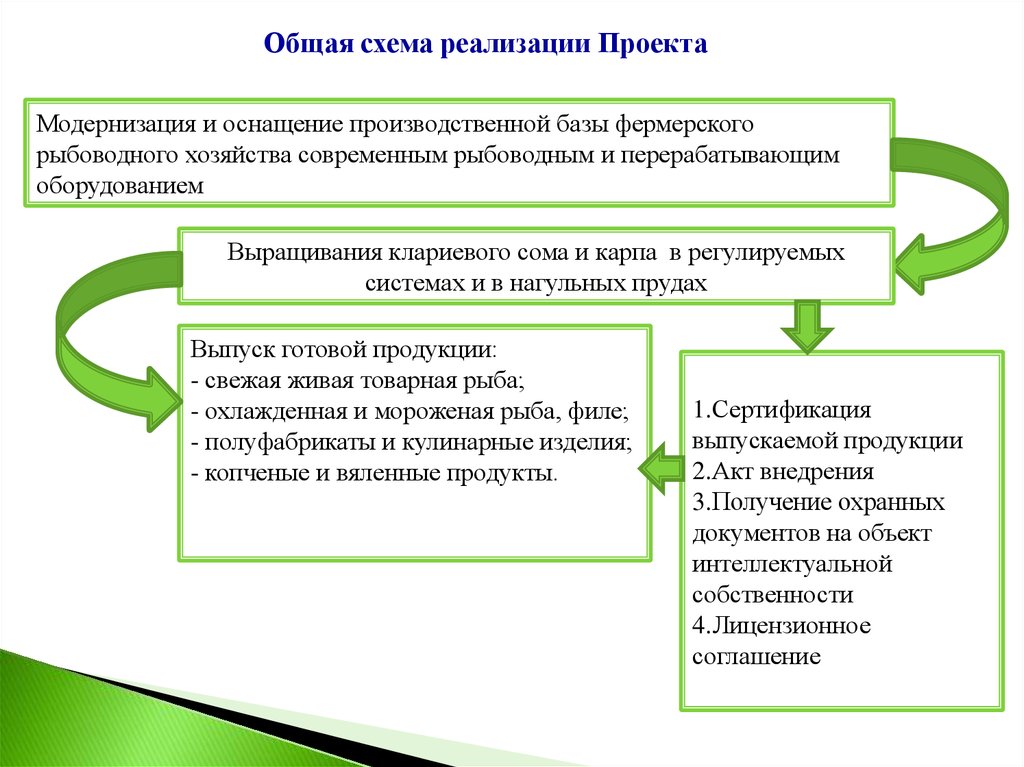 План развития рыбоводного хозяйства на заявленный период действия договора