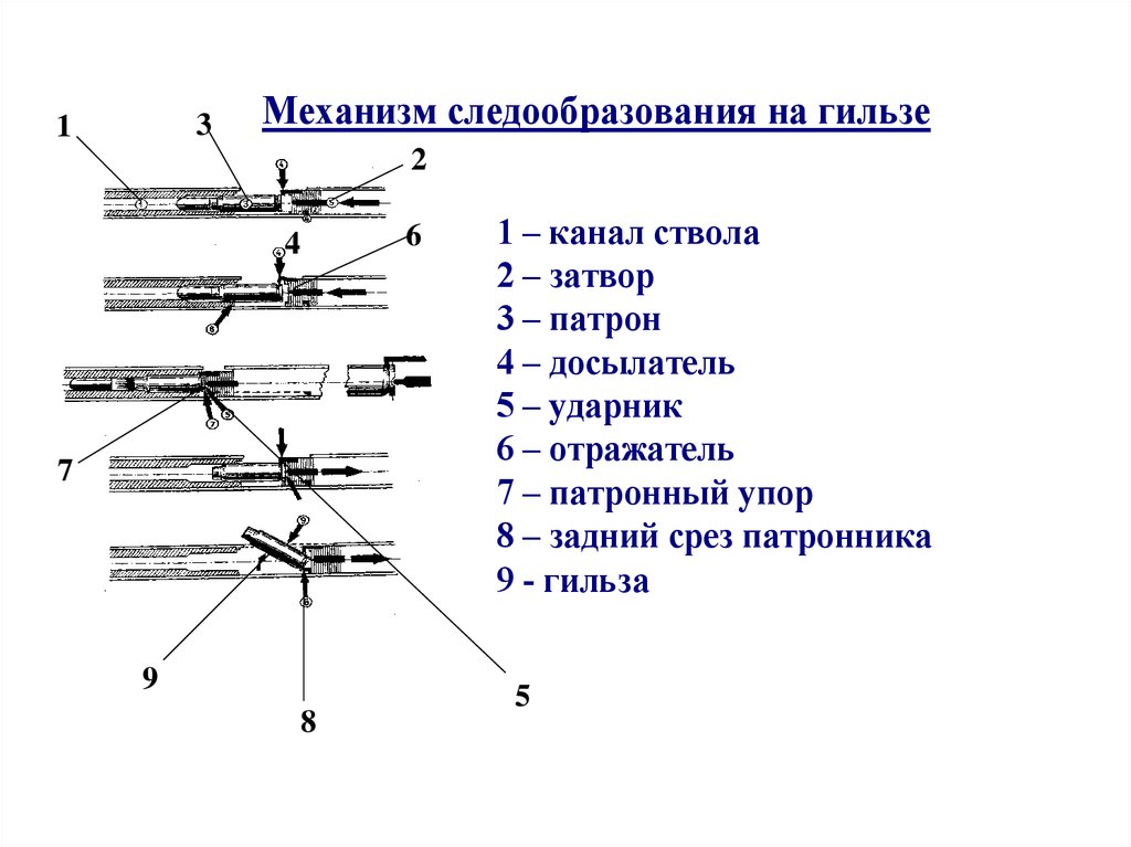 Схема основных и дополнительных следов выстрела на преграде