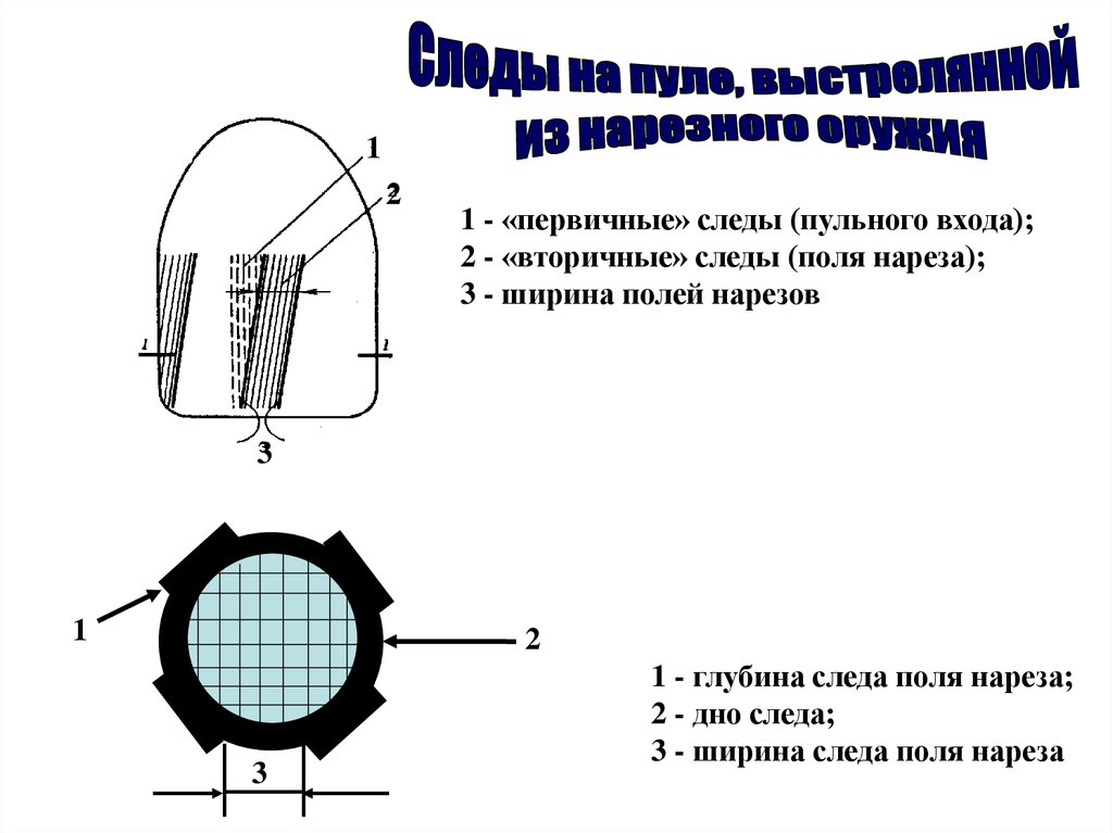 Описание гильзы криминалистика образец