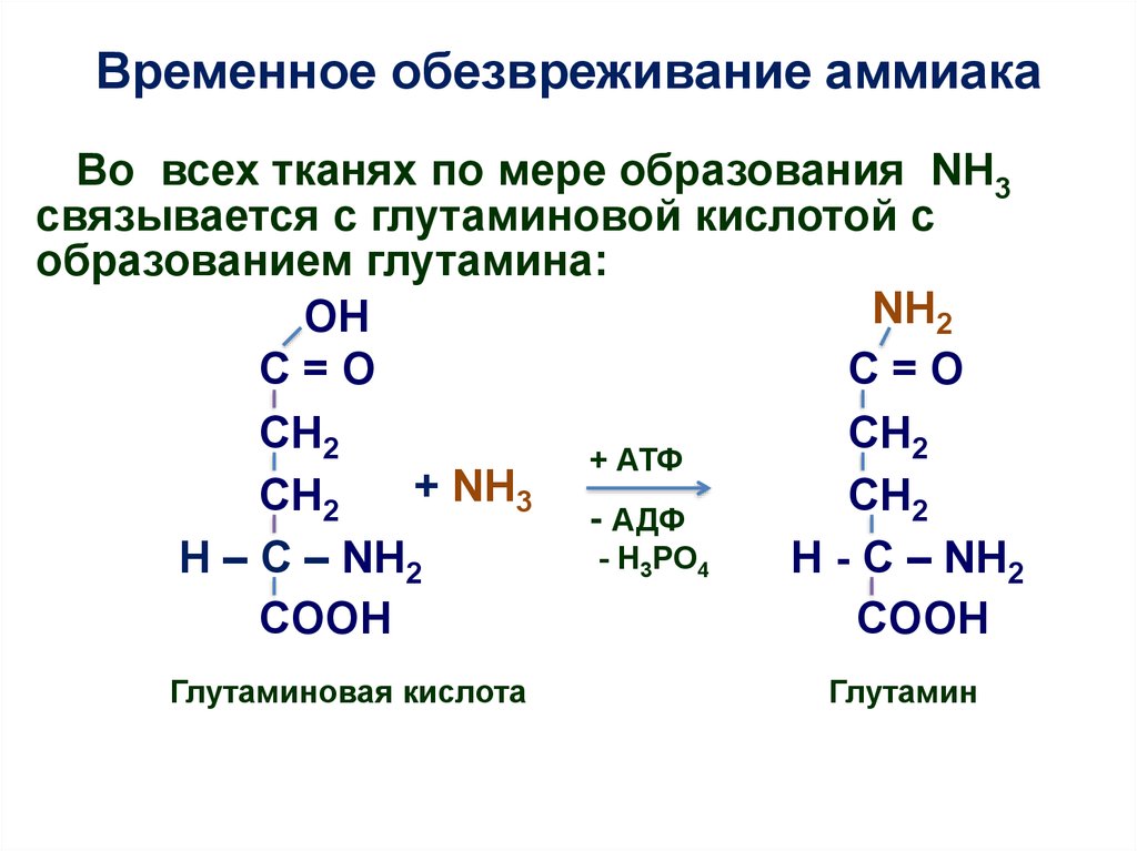 Аммиак это кислота