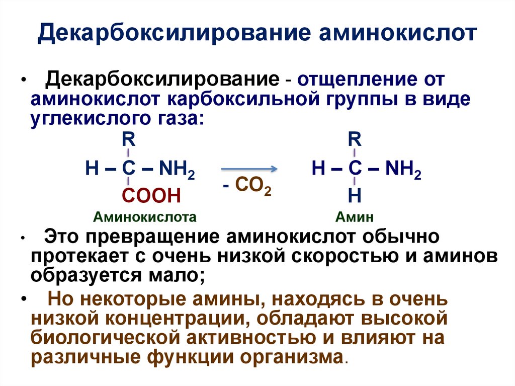 Аминокислоты сдать. Реакция декарбоксилирования аминокислот. Декарбоксилирование аминокислот в6. Декарбоксилирование аминокислот общий вид реакции. Схемы реакций декарбоксилирования аминокислот.