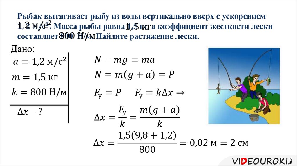 Масса 50 кг вертикально. Рыбак вытягивает рыбу из воды вертикально вверх с ускорением 1.2. Рыбак вытягивает рыбу из воды вертикально вверх. Жесткость лески формула. Как найти массу из ускорения.