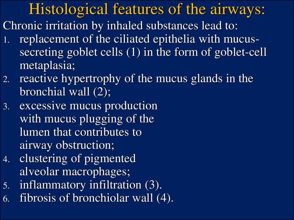 Histological features of the airways: