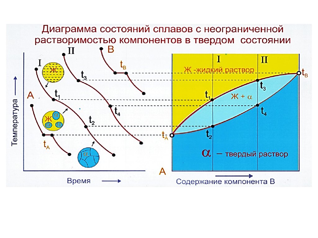 Диаграмма состояния твердого сплава. Диаграмма состояния с неограниченной растворимостью компонентов. Диаграмма с неограниченной растворимостью компонентов. Диаграмма состояния сплавов с неограниченной растворимостью. Диаграмма системы с полной растворимостью компонентов.