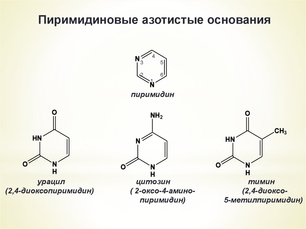 Пуриновым основанием является