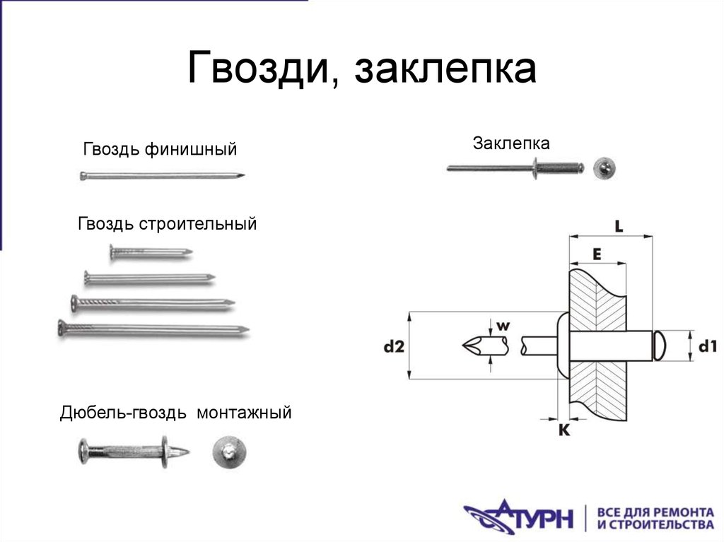 Гвозди, заклепка