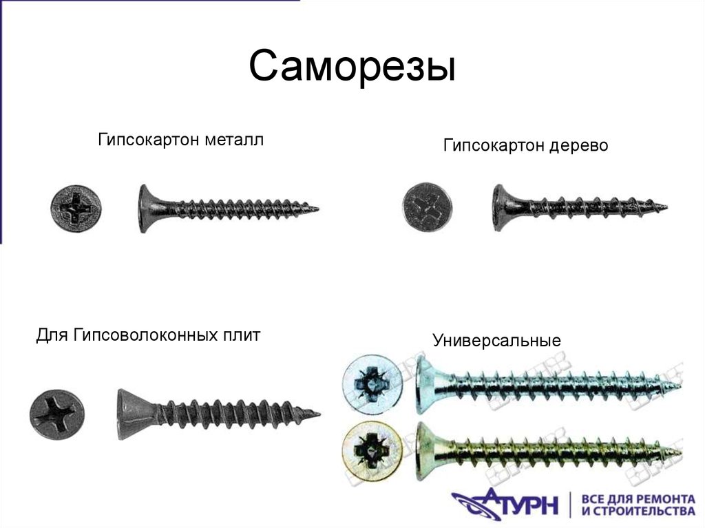 Какой нужен саморез. Саморезы для ГКЛ 12.5 мм размер. Саморезы Knauf SB чертеж. Саморезы по гипсокартону Размеры. Саморезы по гипроку Размеры.