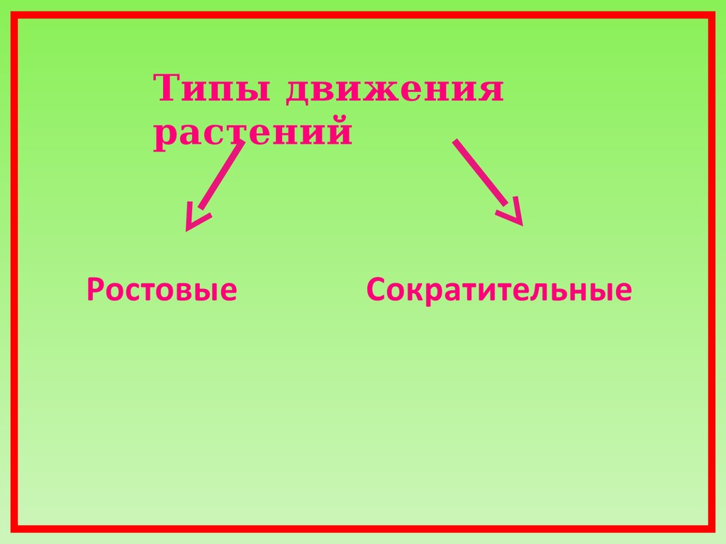 Движение у растений проект