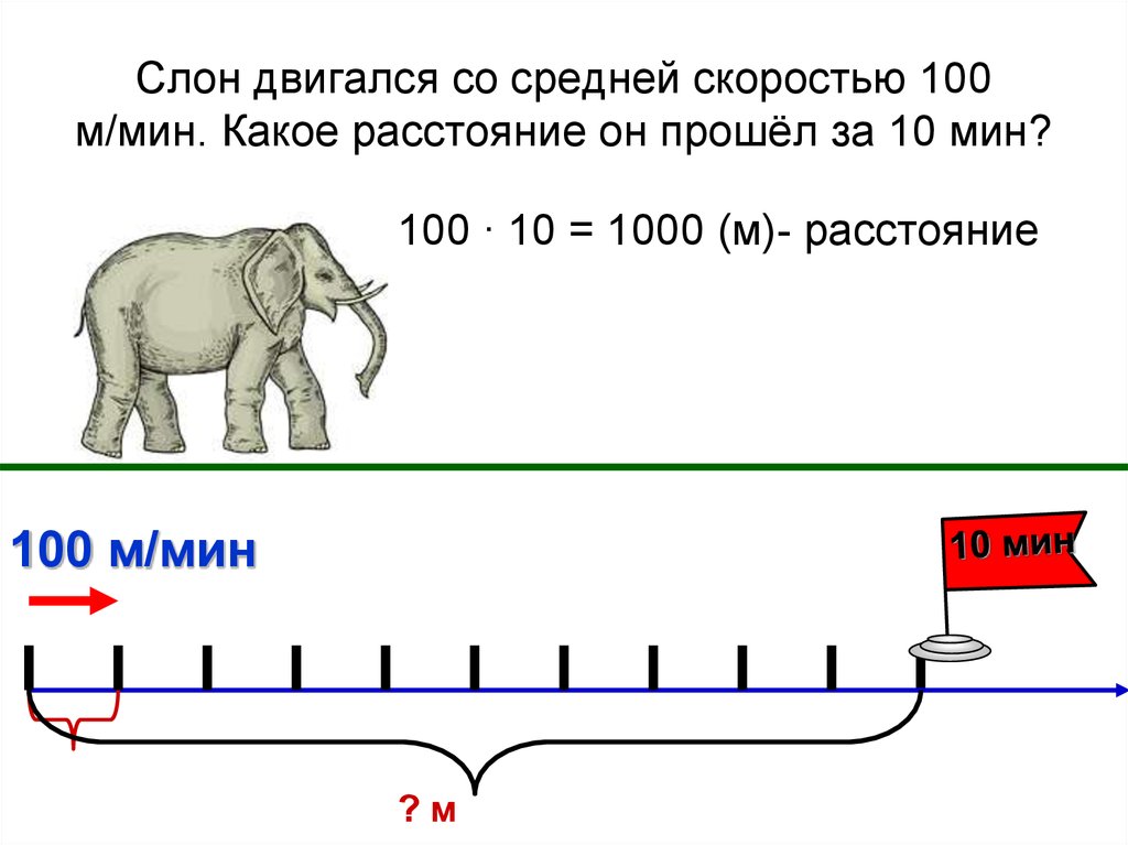 Слон двигался со средней скоростью 100 м/мин. Какое расстояние он прошёл за 10 мин?
