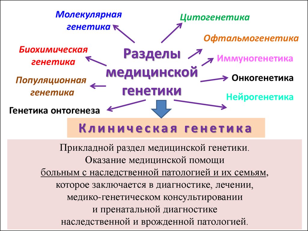 Генетика как отрасль биологической науки 9 класс презентация