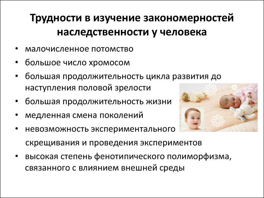 Исследование наследственности