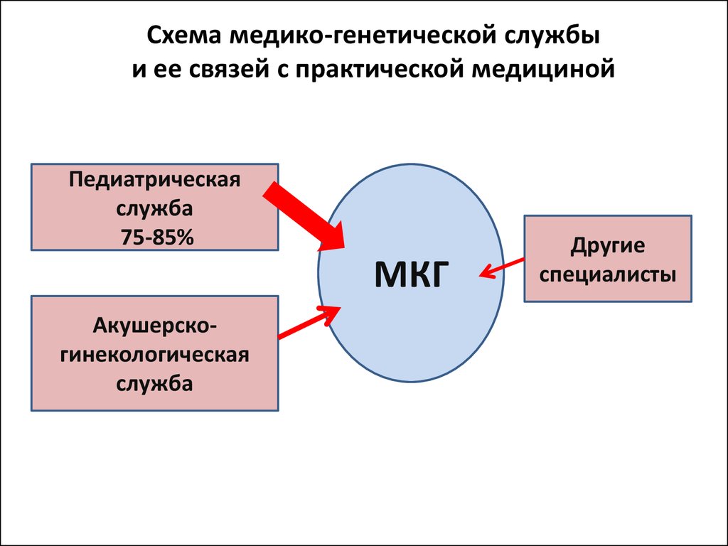 Практическая связь. Медико-генетическое консультирование этапы схема. Структура медико генетической консультации схема. Медико генетическая служба. Принципы организации медико-генетической службы..