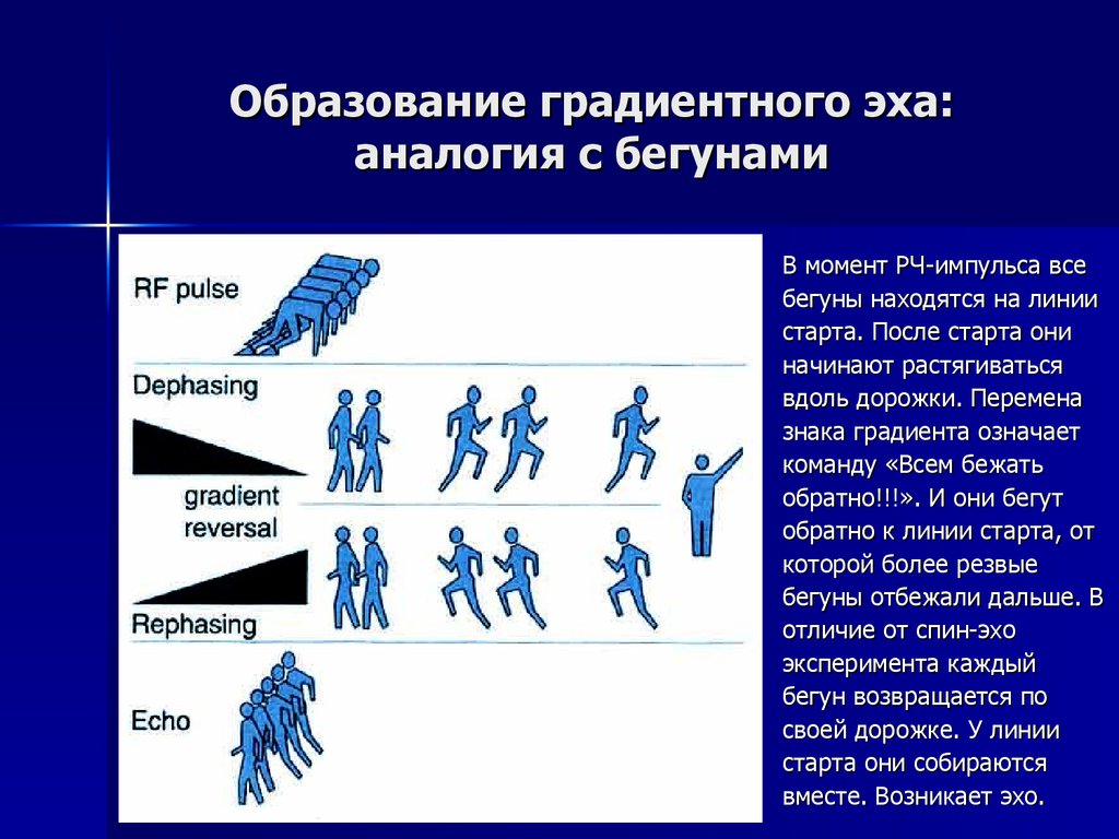 Как возникает эхо