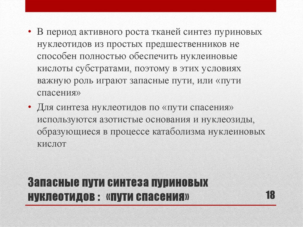 Период активного. Период активного роста. Пуриновый обмен что это такое простыми словами.