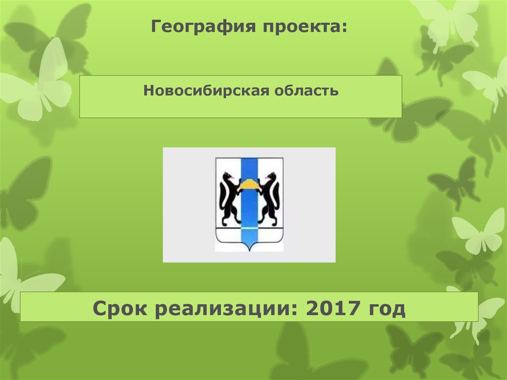 Срок реализации: 2017 год