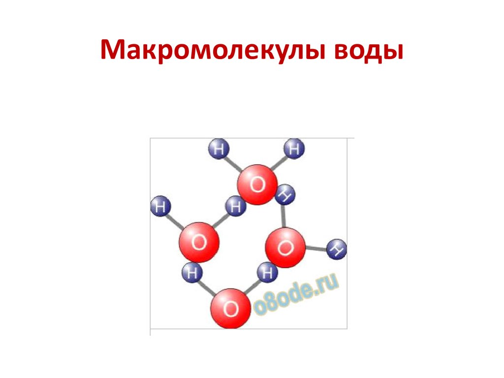 Макромолекулы