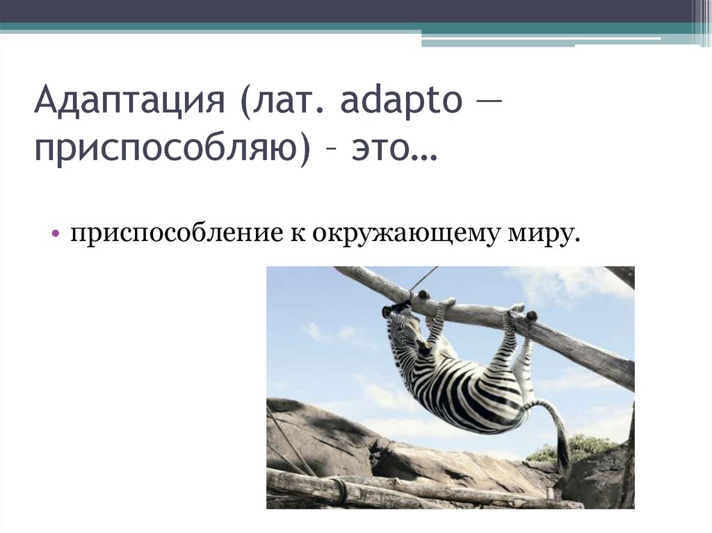 Приспособление это. Приспособление это в психологии. Приспособление к миру. Приспособление это в обществознании. Приспособление это в психологии кратко.