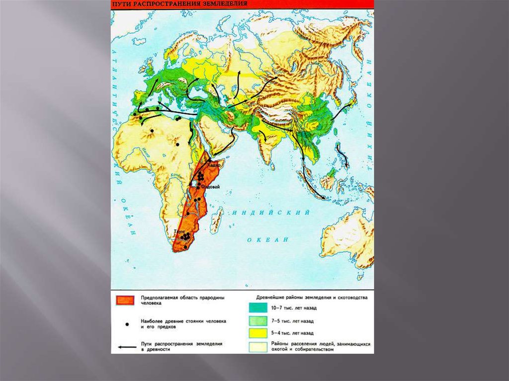 Крупнейшие реки евразии являются районами земледелия. Древнейшие очаги земледелия и скотоводства. Очаги появления земледелия и скотоводства. Прародина человека на карте. Древние очаги земледелия.