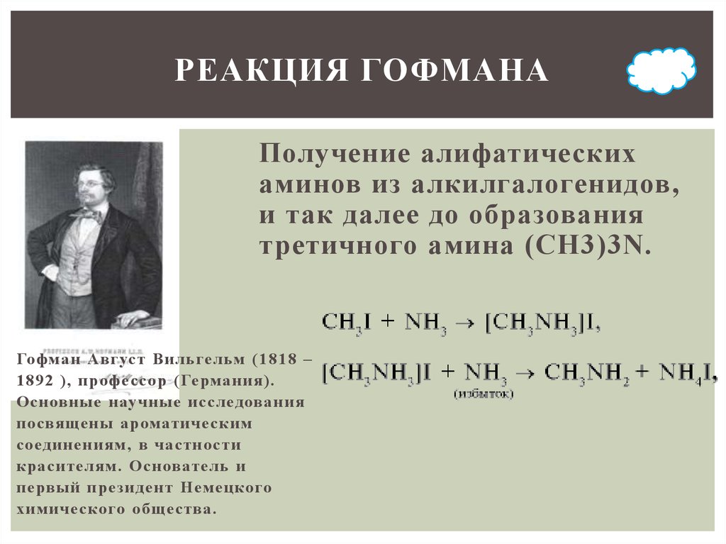 Именные реакции в органической химии. Синтез Гофмана Амины. Август Гофман Химик. Реакция Гофмана для Аминов. Синтез Аминов по Гофману.