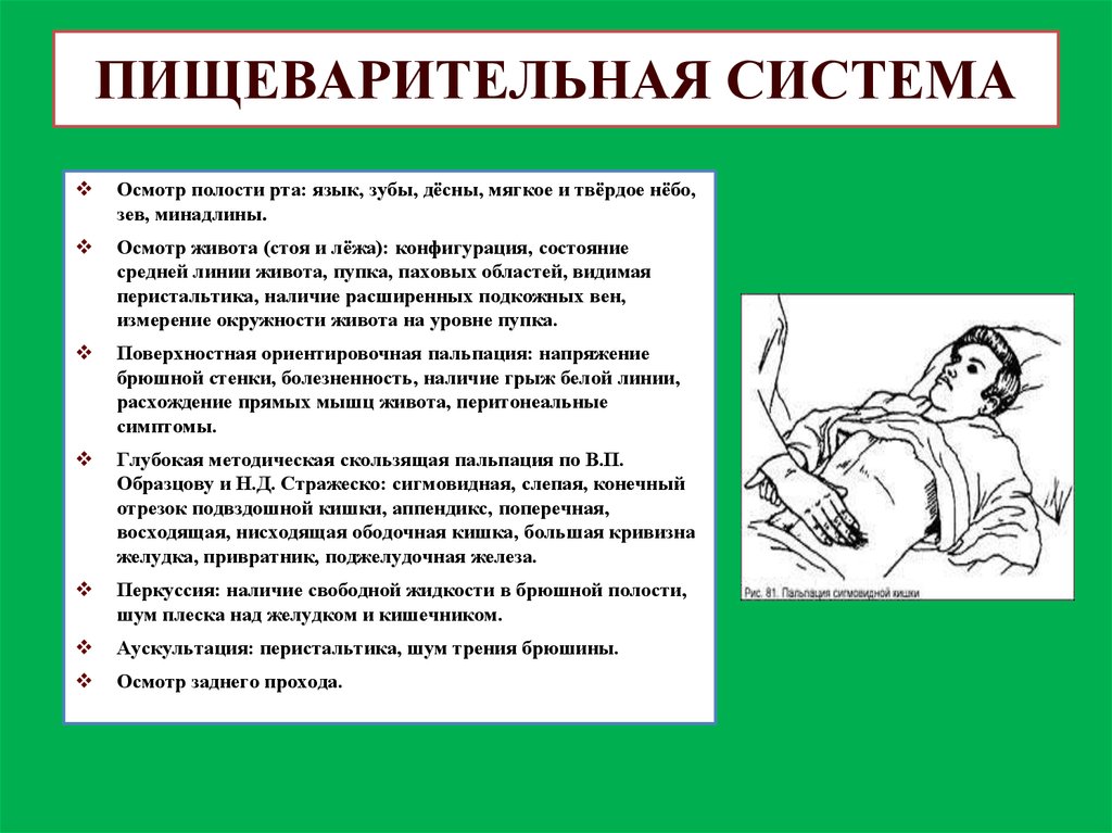 Осмотр пропедевтика. Методика осмотра ротовой полости. Осмотр полости рта пропедевтика внутренних болезней. Осмотр полости рта алгоритм пропедевтика. Осмотр органов пищеварения в норме.