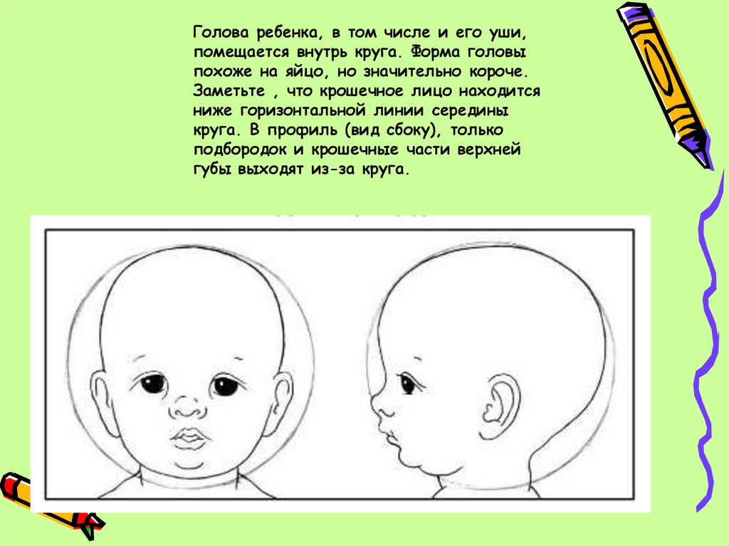 Голова похожа. Форма головы ребёнка строение. Пропорции тела новорожденного ребенка. Схема головы ребенка.