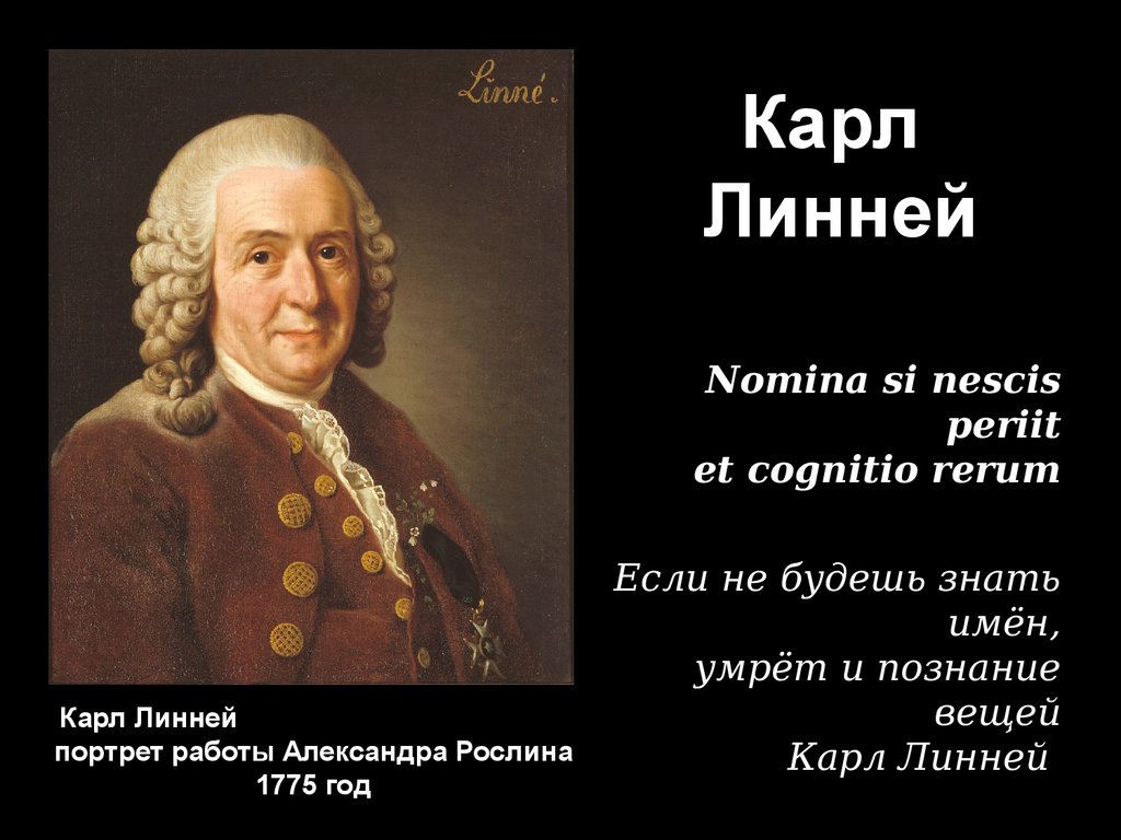 Карл линней презентация